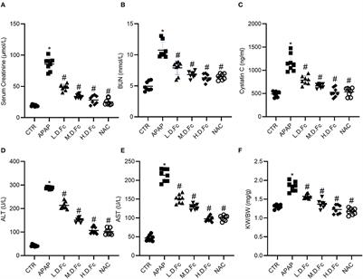 Notoginsenoside Fc ameliorates renal tubular injury and mitochondrial damage in acetaminophen-induced acute kidney injury partly by regulating SIRT3/SOD2 pathway